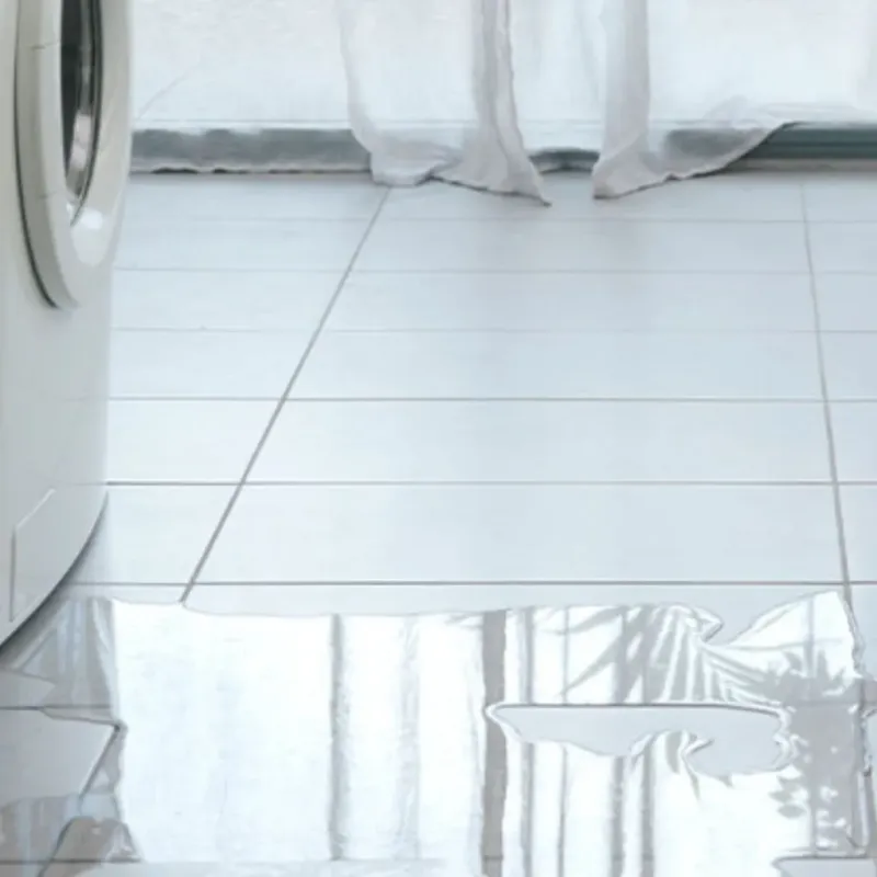Appliance Leak Cleanup in Plainview, TN