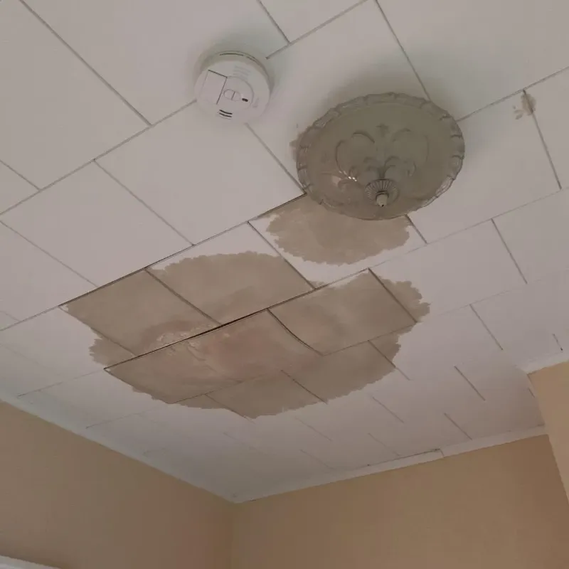 Ceiling Water Damage Repair in Plainview, TN