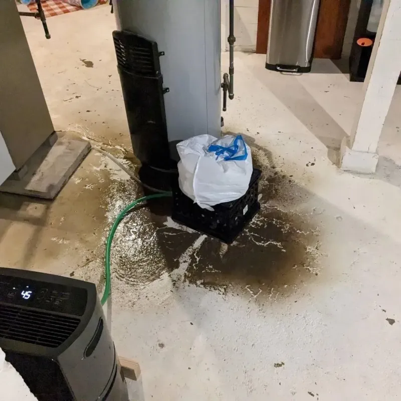 Sewage Backup Cleanup Service in Plainview, TN